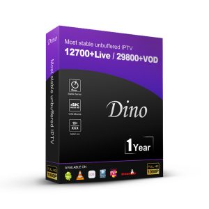 12 Months Dino ott Germany Netherlands 4K IPTV m3u