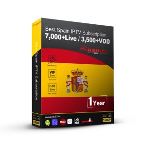 12 months OTT Platinum full HD 4K French Spain IPTV Code
